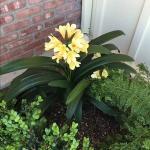 Meet your Posher, Deanna